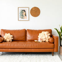 Big Pop Succulent® 20" Plant Pillow - Blush Peach
