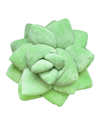 Big Pop Succulent® - Sage Green 20