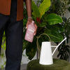 Organic Bio Fungicide For Plants & Gardens By Arber