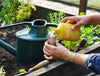 Organic Bio Insecticide For Plants & Gardens By Arber