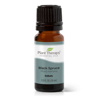 Black Spruce Essential Oil By Plant Therapy