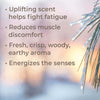 Black Spruce Essential Oil By Plant Therapy