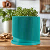 Mid-Century Ribbed Planter with Drainage and Saucer in Multiple Colors & Sizes