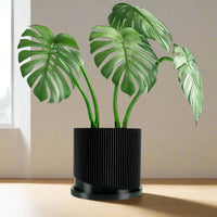 Mid-Century Ribbed Planter with Drainage and Saucer in Multiple Colors & Sizes