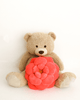 Camellia Plant Plush, 17" Flower Pillow~ 3 Color Choices