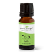 Catnip Essential Oil By Plant Therapy