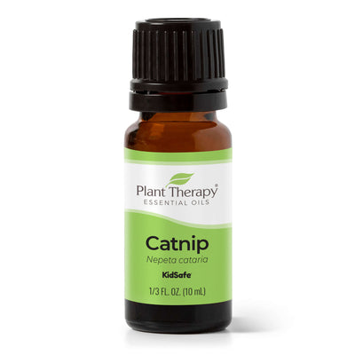 Catnip Essential Oil By Plant Therapy