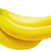 Double Mahoi Dwarf Banana, Live Plant