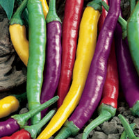 Pepper Joe Cayenne Blend Pepper Seeds, Garden Vegetables