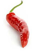 Chilaca Mexican (Negro) Mild Pepper Seeds, Garden Vegetables