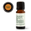 Cinnamon Cassia Essential Oil By Plant Therapy