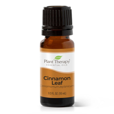 Cinnamon Leaf Essential Oil By Plant Therapy