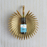 Clarity Essential Oil Blend By Plant Therapy