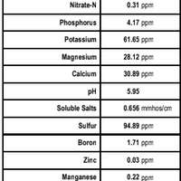 Calcined Clay Soil Aggregates Made In The USA By Bonsai Supply