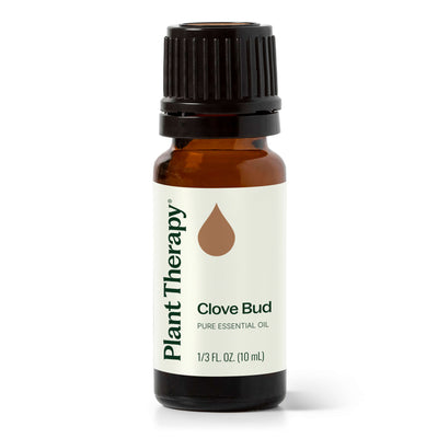 Clove Bud Essential Oil By Plant Therapy