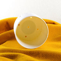 Daisy Planter In Lots Of Colors & Sizes