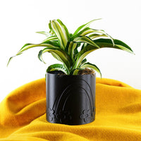 Daisy Planter In Lots Of Colors & Sizes