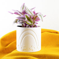 Daisy Planter In Lots Of Colors & Sizes