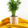 Deep Space Planter Pot In Many Sizes & Colors