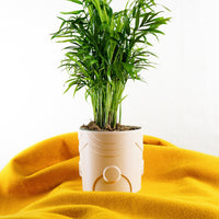 Deep Space Planter Pot In Many Sizes & Colors