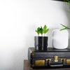 Deep Space Planter Pot In Many Sizes & Colors