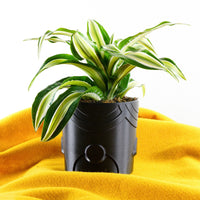 Deep Space Planter Pot In Many Sizes & Colors