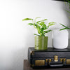Deep Space Planter Pot In Many Sizes & Colors