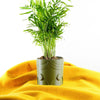 Deep Space Planter Pot In Many Sizes & Colors
