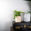 Deep Space Planter Pot In Many Sizes & Colors