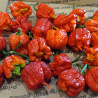 Dragon's Breath Chili Pepper Seeds, Extreme Caution Garden Vegetables