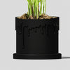Drip Plant Planter & Comes in Many Colors