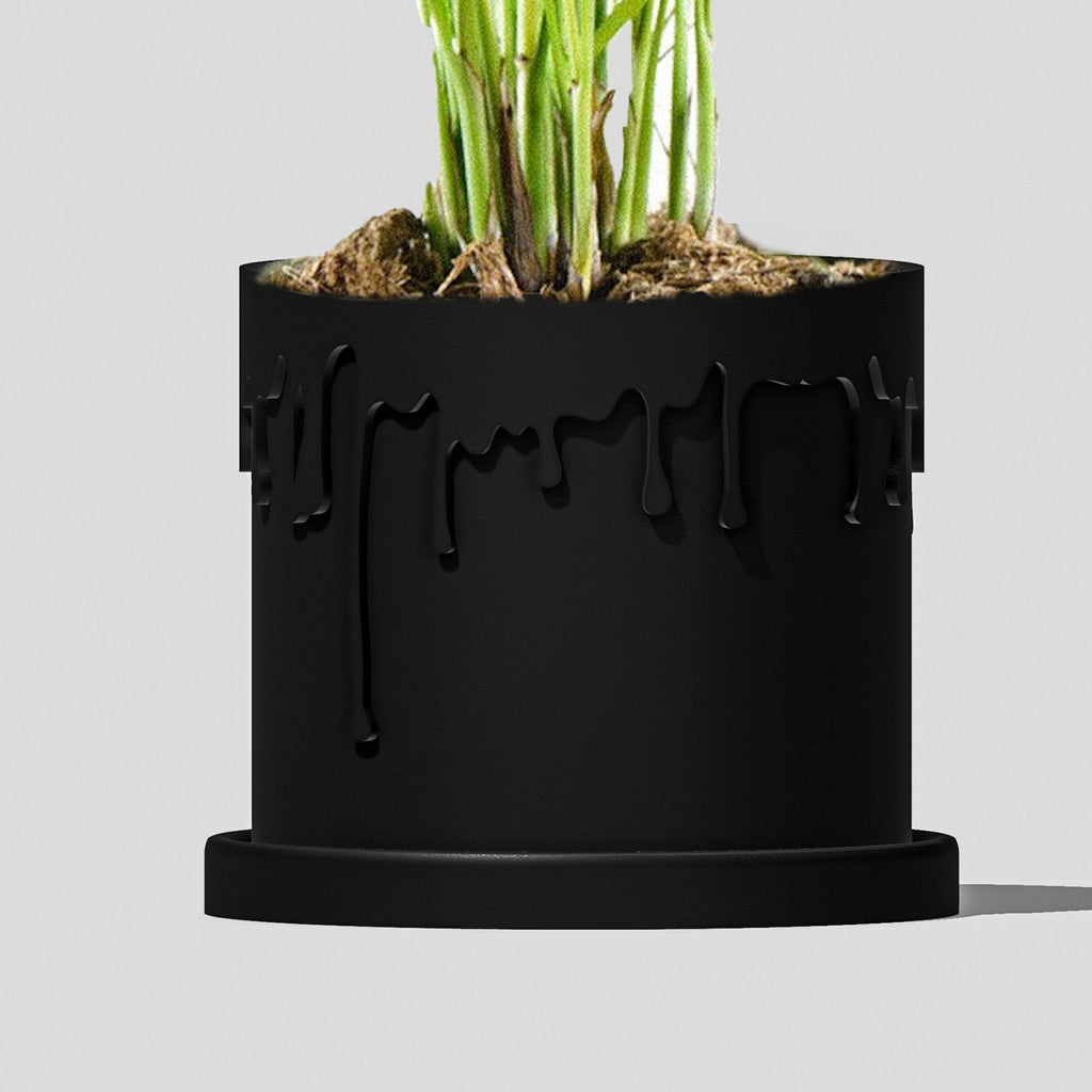 Drip Plant Planter & Comes in Many Colors