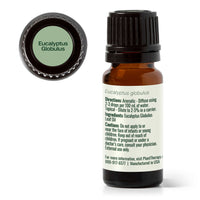 Eucalyptus Globulus Essential Oil By Plant Therapy