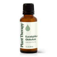 Eucalyptus Globulus Essential Oil By Plant Therapy