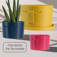 Minimal Face Planter, Small Medium Large, With Drip Tray & Drainage In Many Colors