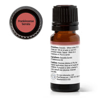 Frankincense Serrata Essential Oil By Plant Therapy