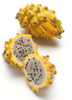 Selenicereus megalanthus, Yellow Dragon Fruit, Live Cactus Plant