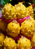 Selenicereus megalanthus, Yellow Dragon Fruit, Live Cactus Plant