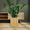 Funky Flow Planter with Drainage and Unique Tray, Pick & Choose Your Color