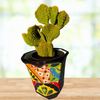 Opuntia Microdasys, Mutated Funny Bunny Prickly Pear Cactus Plant