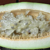 Passiflora quadrangularis Vine, Giant Granadilla Passion Fruit - Live Plant