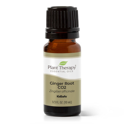 Ginger Root CO2 Extract By Plant Therapy