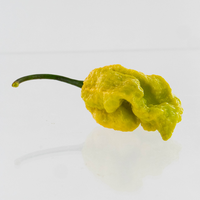 Golden Reaper Pepper Seeds, Super Hot Garden Vegetables