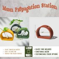 Half-Moon Propagation In Various Colors