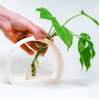 Half-Moon Propagation In Various Colors