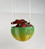 Hanging Joshua Tree Planter With Size & Color Options