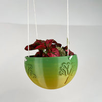 Hanging Joshua Tree Planter With Size & Color Options