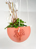 Hanging Joshua Tree Planter With Size & Color Options