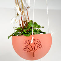 Hanging Joshua Tree Planter With Size & Color Options