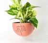 Hanging Joshua Tree Planter With Size & Color Options